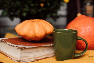 Balkabağı, kitap ve kasımpatının sonbahar kompozisyonu. Yüksek kalite fotoğraf