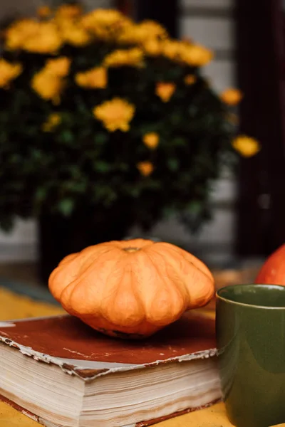 Autumn composition of pumpkin, book and chrysanthemum in a pot outside. High quality photo