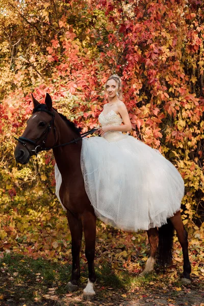 Piękna Panna Młoda Białej Sukience Siedząca Koniu Jesiennym Lesie Wysokiej — Zdjęcie stockowe
