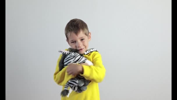 Αγοράκι Αγκαλιάζει Μια Βελούδινη Ζέβρα Λευκό Φόντο Υψηλής Ποιότητας Υλικό — Αρχείο Βίντεο