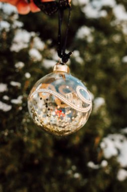 Karla kaplı bir ağaçta Noel balosu. Kış günü. Yüksek kalite fotoğraf