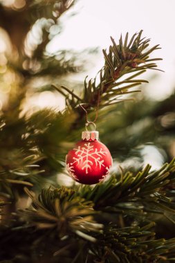 Yeşil bir Noel ağacında kırmızı Noel balosu. Noel dekoru. Yüksek kalite fotoğraf