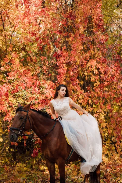 Menyasszony Fehér Ruhában Egy Mellett Őszi Erdőben Kiváló Minőségű Fénykép — Stock Fotó