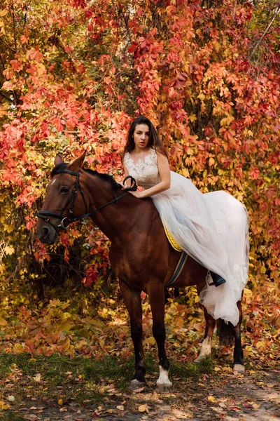 Panna Młoda Białej Sukience Pobliżu Konia Jesiennym Lesie Wysokiej Jakości — Zdjęcie stockowe