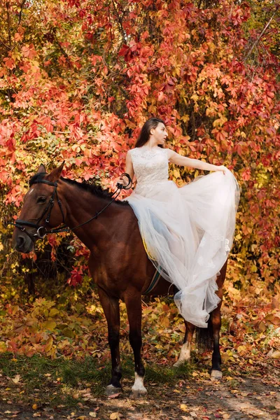 Noiva Vestido Branco Perto Cavalo Floresta Outono Foto Alta Qualidade — Fotografia de Stock