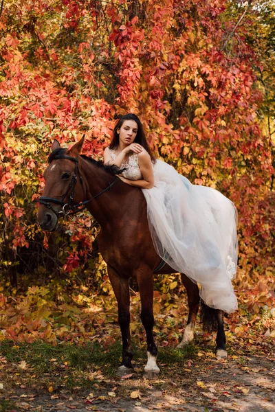 Egy Gyönyörű Fiatal Menyasszony Lovon Őszi Erdő Kiváló Minőségű Fénykép — Stock Fotó
