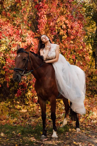 Uma Bela Jovem Noiva Senta Cavalo Floresta Outono Foto Alta — Fotografia de Stock