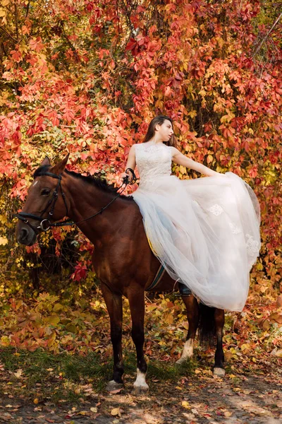 Egy Gyönyörű Fiatal Menyasszony Lovon Őszi Erdő Kiváló Minőségű Fénykép — Stock Fotó