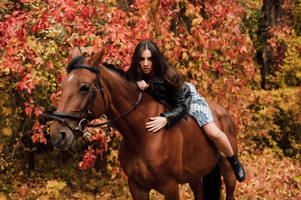 Μια Γυναίκα Ένα Άλογο Στο Δάσος Του Φθινοπώρου Ιππασία Υψηλής — Φωτογραφία Αρχείου