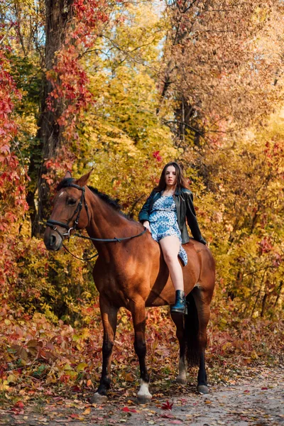 Kobieta Koniu Jesiennym Lesie Jazda Konna Wysokiej Jakości Zdjęcie — Zdjęcie stockowe