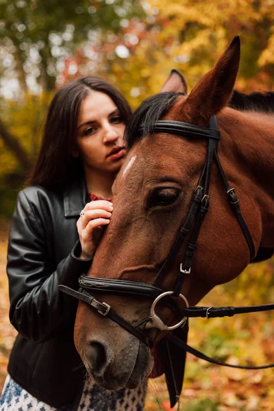 Piękna Młoda Brunetka Całuje Konia Jesienny Las Miłość Zwierząt Wysokiej — Zdjęcie stockowe