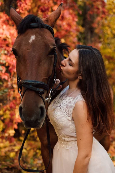 Egy Fehér Ruhás Menyasszony Megcsókol Egy Lovat Egy Őszi Erdőben — Stock Fotó