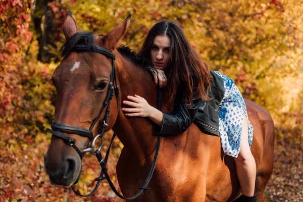 Piękna Młoda Kobieta Pozująca Koniu Pięknym Jesiennym Lesie Wysokiej Jakości — Zdjęcie stockowe