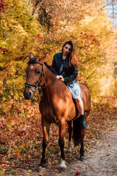 Piękna Młoda Kobieta Pozująca Koniu Pięknym Jesiennym Lesie Wysokiej Jakości — Zdjęcie stockowe