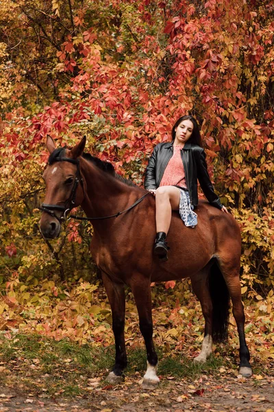 Młoda Piękna Kobieta Pozująca Koniu Lesie Jesienna Natura Wysokiej Jakości — Zdjęcie stockowe