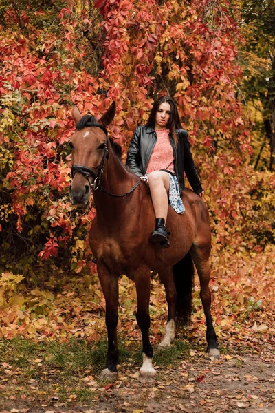 Młoda Piękna Kobieta Pozująca Koniu Lesie Jesienna Natura Wysokiej Jakości — Zdjęcie stockowe