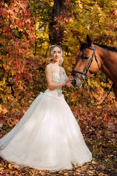 Noiva Bonita Vestido Longo Branco Está Perto Cavalo Floresta Outono — Fotografia de Stock