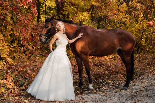 Beyaz Uzun Elbiseli Güzel Gelin Sonbahar Ormanında Bir Atın Yanında — Stok fotoğraf