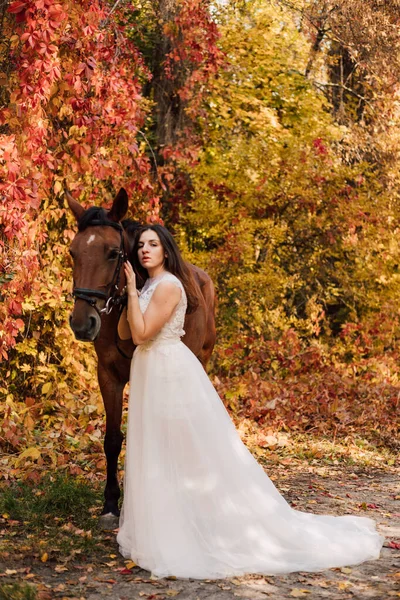 Romantic wedding in autumn in the forest with a horse. Beautiful bride hugging a horse. High quality photo