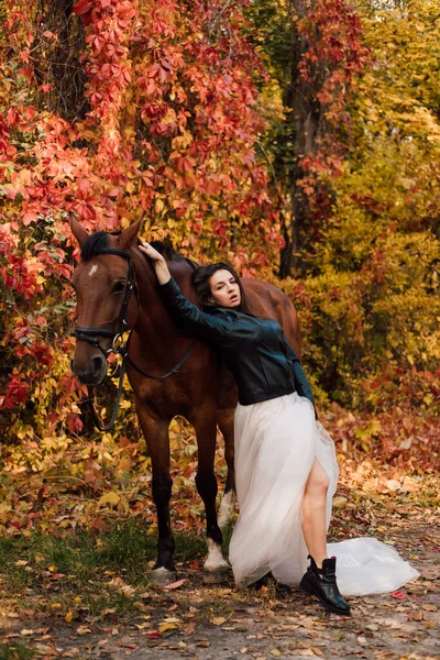Romantic wedding in autumn in the forest with a horse. Beautiful bride hugging a horse. High quality photo