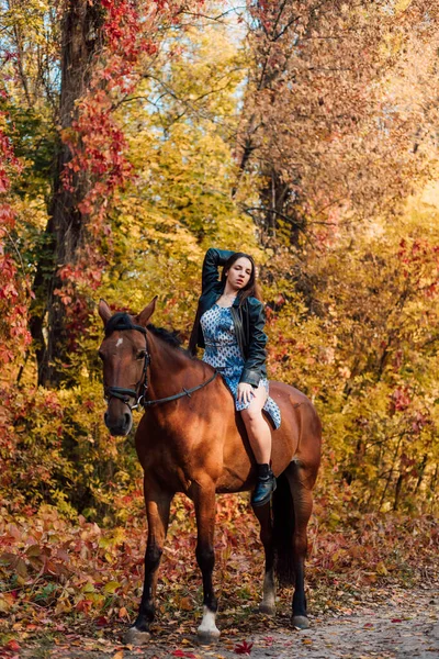 Uma Bela Jovem Morena Beija Cavalo Floresta Outono Amor Pelos — Fotografia de Stock