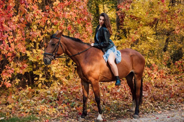 Uma Bela Jovem Morena Beija Cavalo Floresta Outono Amor Pelos — Fotografia de Stock
