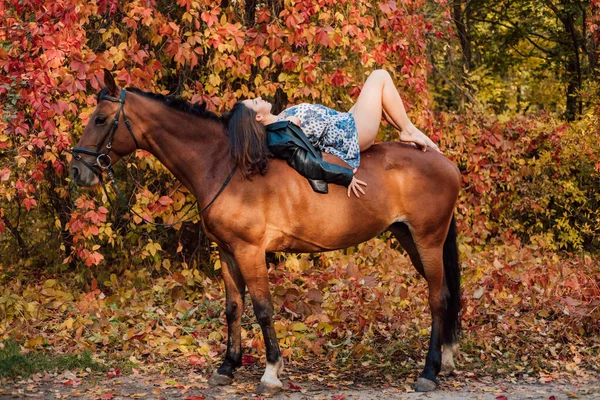 Eine Junge Sexy Frau Liegt Auf Einem Pferd Hochwertiges Foto — Stockfoto