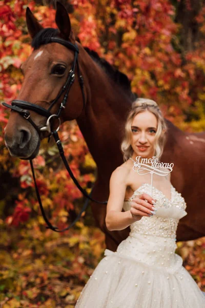 Amando Noiva Bonita Vestido Branco Lado Cavalo Casamento Outono Floresta — Fotografia de Stock