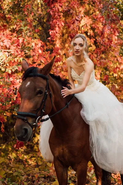 Noiva Bonita Vestido Longo Branco Está Perto Cavalo Floresta Outono — Fotografia de Stock