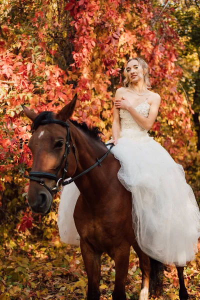 Noiva Bonita Vestido Longo Branco Está Perto Cavalo Floresta Outono — Fotografia de Stock