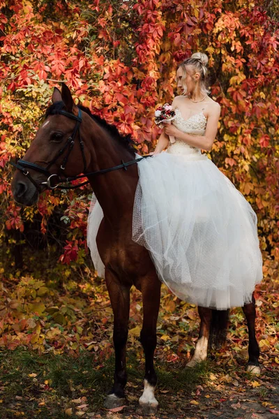 Gyönyörű Menyasszony Fehér Hosszú Ruhában Áll Egy Mellett Őszi Erdőben — Stock Fotó