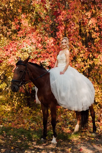 Piękna Panna Młoda Białej Długiej Sukience Stoi Pobliżu Konia Jesiennym — Zdjęcie stockowe