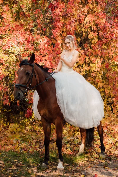 Красивая Невеста Белом Длинном Платье Стоит Рядом Лошадью Осеннем Лесу — стоковое фото