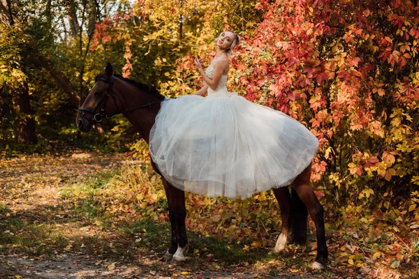 Noiva Bonita Vestido Longo Branco Está Perto Cavalo Floresta Outono — Fotografia de Stock
