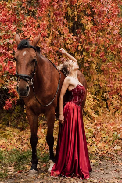 Retrato Feminino Lado Cavalo Passeios Cavalo Floresta Outono Foto Alta — Fotografia de Stock