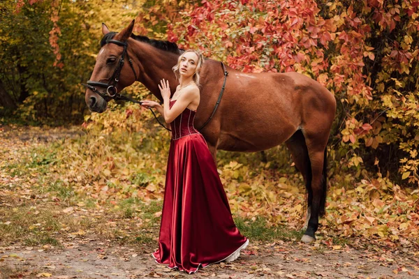 馬の隣にいる女性の肖像画 秋の森で乗るホースバック 高品質の写真 — ストック写真