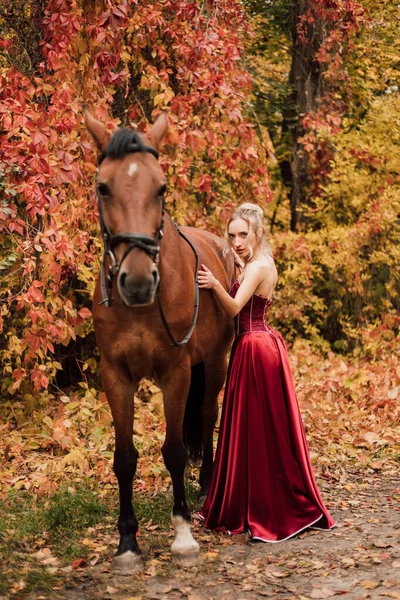 Retrato Feminino Lado Cavalo Passeios Cavalo Floresta Outono Foto Alta — Fotografia de Stock