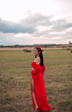 Kırmızı elbiseli çekici bir kadın bir tarlada duruyor. Buğday biçtim. Yüksek kalite fotoğraf