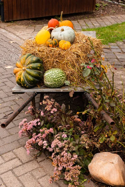 ストローにポンプキンス 秋の収穫について 秋のバザール ハッピーハロウィン 高品質の写真 — ストック写真