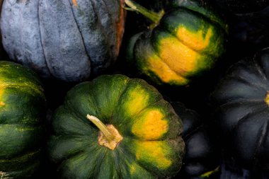 Kutuda bir sürü yeşil balkabağı var. Balkabağı arkaplanı. Sonbahar kompozisyonu, hasat. Yüksek kalite fotoğraf
