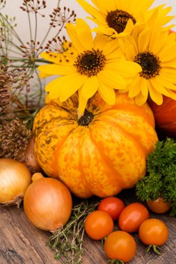 Biyolojik sebzeler masada. Sağlıklı beslenme. Bahçeden sebzeler. Sonbaharda sebzelerin korunması. Yüksek kalite fotoğraf