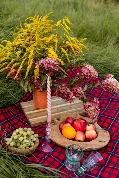 新鮮な果物 ベリー チェッカーされた毛布の花 草の上の夏のピクニック 高品質の写真 — ストック写真