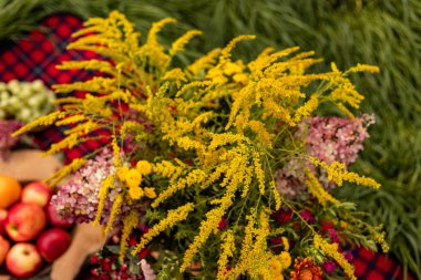 Taze meyve, böğürtlen, kareli battaniyede çiçekler. Çimlerin üzerinde yaz pikniği. Yüksek kalite fotoğraf