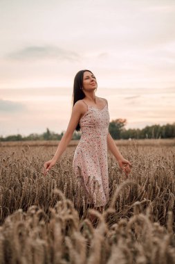 Buğday tarlasında yürüyen genç bir kadın. Kırsal yaşam. Buğday ekimi. Yüksek kalite fotoğraf