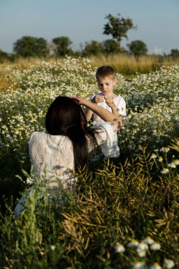 Genç bir anne oğlunu papatya tarlasında kollarında tutuyor. Mutlu annelikler. Yüksek kalite fotoğraf
