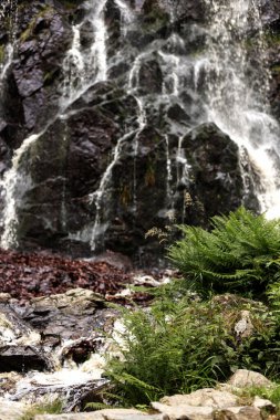 Mountain waterfall. Waterfall in the mountains in summer. Rocks. High quality photo clipart