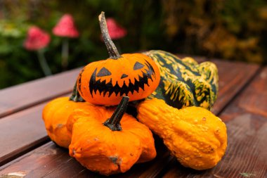 Toplanıyoruz. Balkabakları masanın üzerinde yatıyor. Piyasada bir sürü balkabağı var. Yüksek kalite fotoğraf