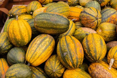 Toplanıyoruz. Balkabakları masanın üzerinde yatıyor. Piyasada bir sürü balkabağı var. Yüksek kalite fotoğraf