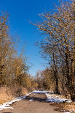 Kış köyü manzarası. Yol karla kaplı, ağaçlar, mavi gökyüzü. Yüksek kalite fotoğraf