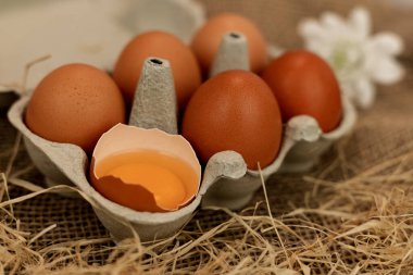 Yumurta kutusunda ev yapımı kahverengi yumurta. Kırık yumurta. Çiğ yumurta sarısı. Yüksek kalite fotoğraf